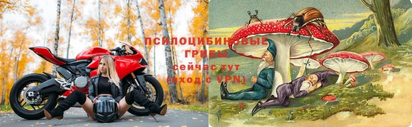 меф Алексин