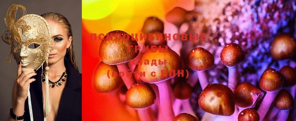 не бодяженный Алзамай